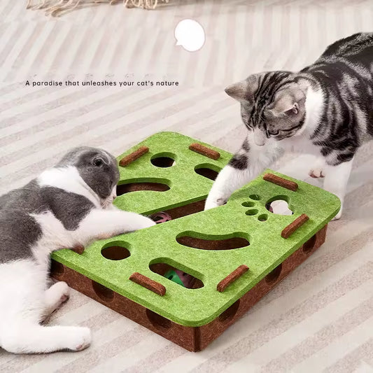 Paw & Seek Puzzle Toy