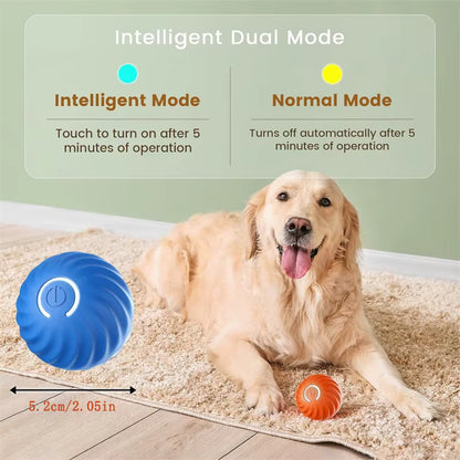 Interactive Smart Ball
