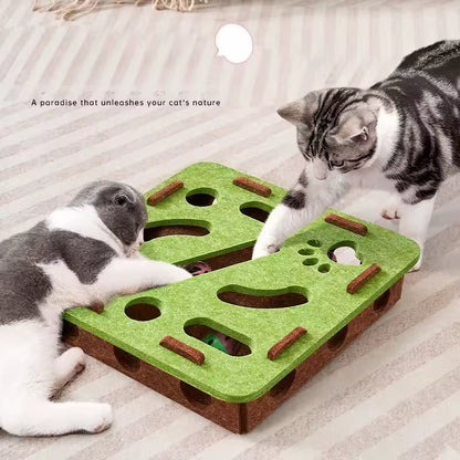 Paw & Seek Puzzle Toy