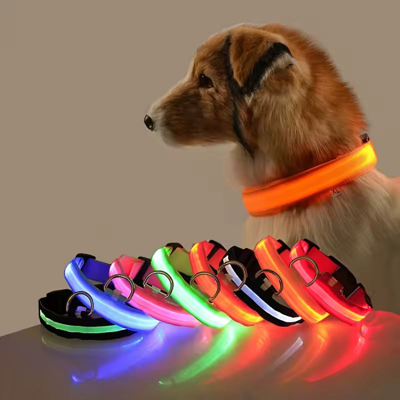 Nylon LED Night Collar