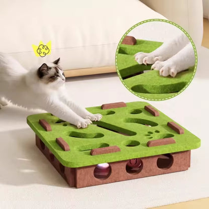 Paw & Seek Puzzle Toy