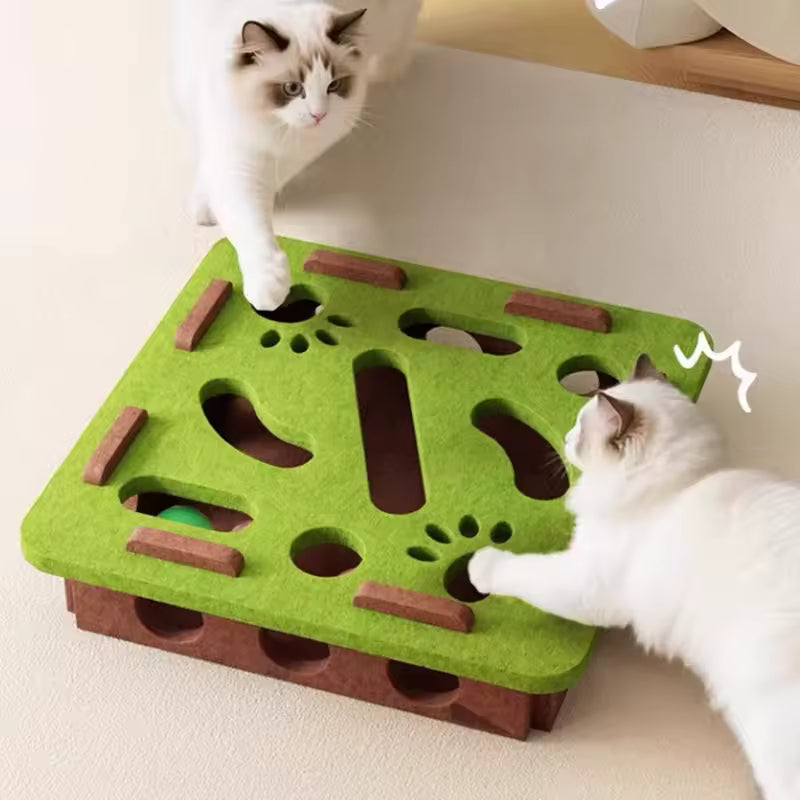 Paw & Seek Puzzle Toy