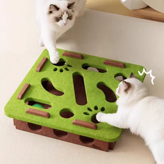 Paw & Seek Puzzle Toy
