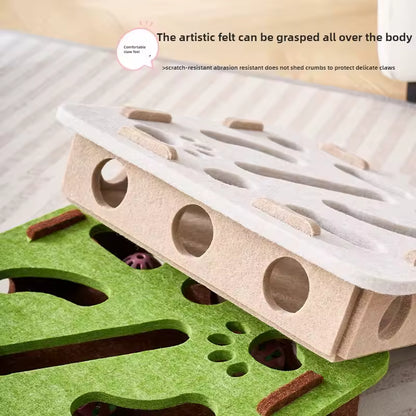 Paw & Seek Puzzle Toy