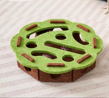 Paw & Seek Puzzle Toy