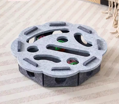 Paw & Seek Puzzle Toy