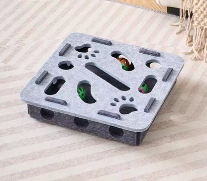 Paw & Seek Puzzle Toy