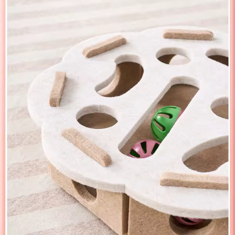 Paw & Seek Puzzle Toy